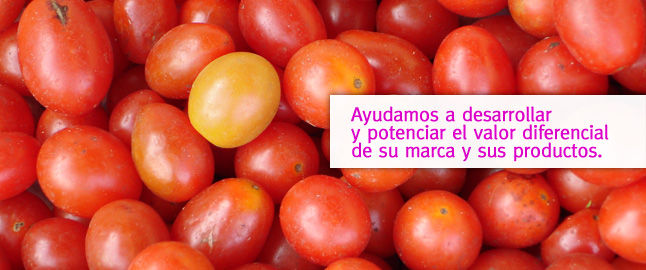Slide 13